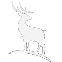 ailife-blog.pages.dev favicon